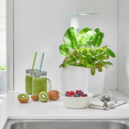 Tregren smart garden T3 | Juodas