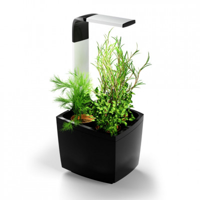 Tregren smart garden T3 | Juodas