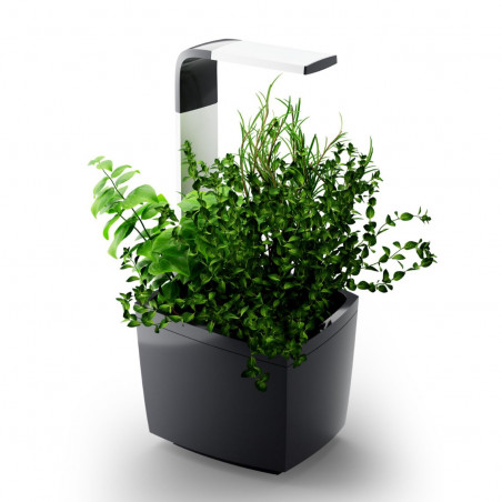 Tregren smart garden T3 | Juodas