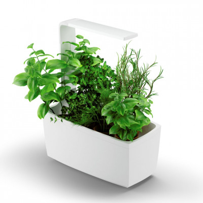 Tregren smart garden T6 | Baltas