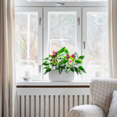 Tregren smart garden T6 | Pilkas