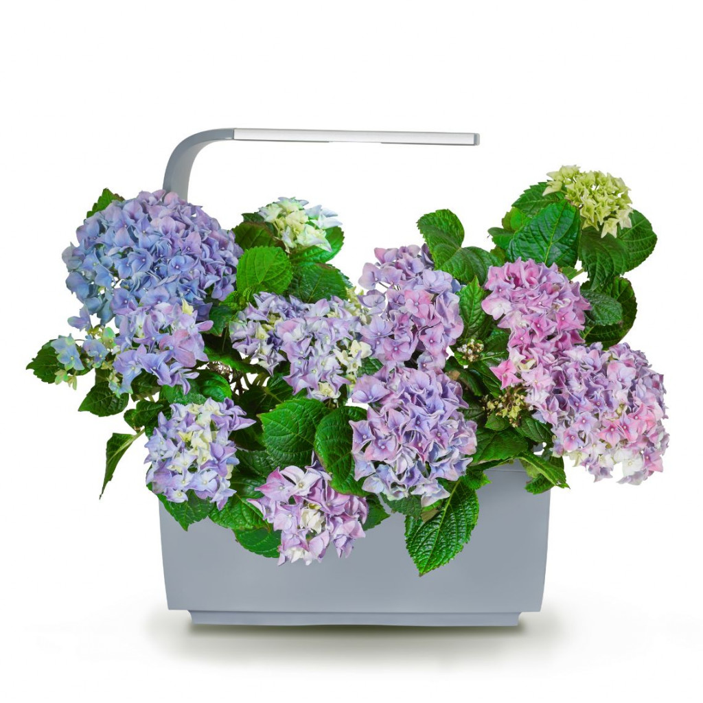 Tregren smart garden T6 | Pilkas
