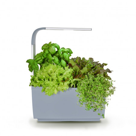 Tregren smart garden T6 | Pilkas