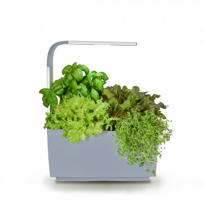 Tregren smart garden T6 | Pilkas