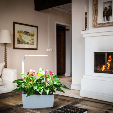 Tregren smart garden T6 | Juodas