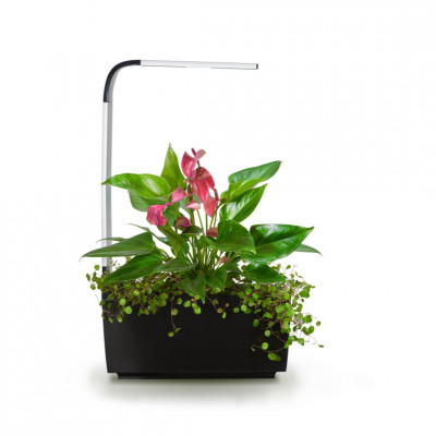 Tregren smart garden T6 | Juodas