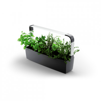 Tregren smart garden T12 | Juodas