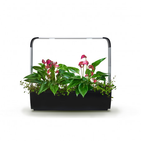 Tregren smart garden T12 | Juodas