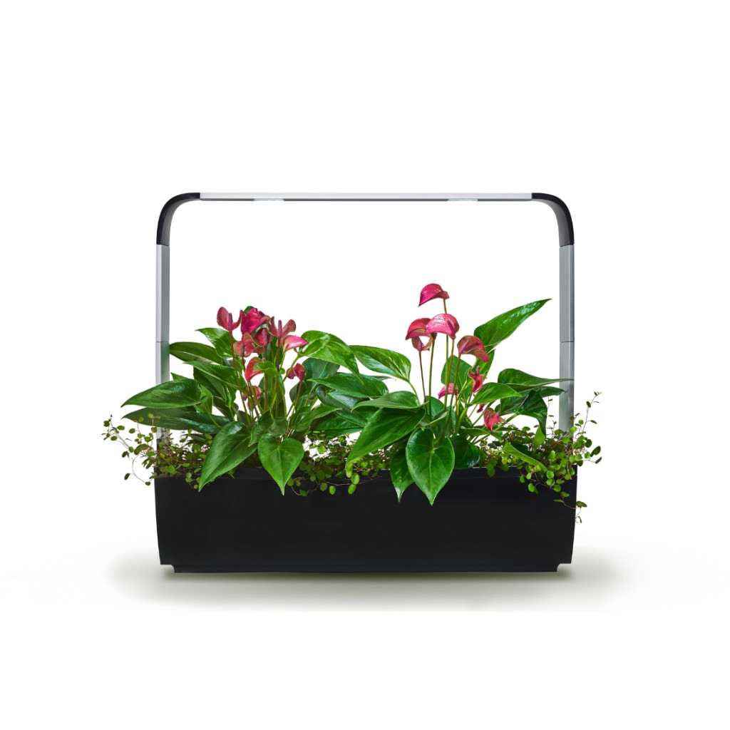 Tregren smart garden T12 | Juodas