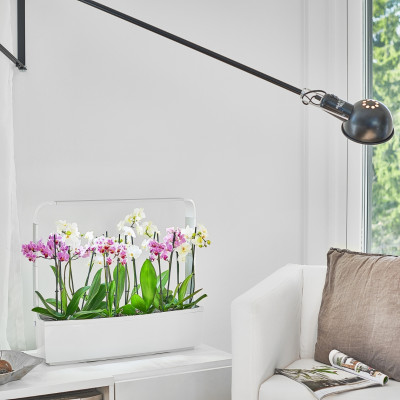 Tregren smart garden T12 | Juodas