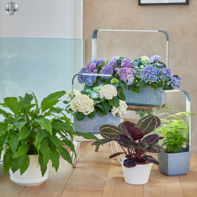Tregren smart garden T12 | Pilkas