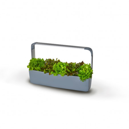 Tregren smart garden T12 | Pilkas
