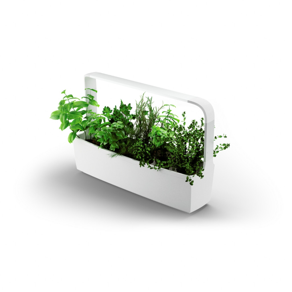 Tregren smart garden T12 | Balts | gudri-darzi | NMF Home