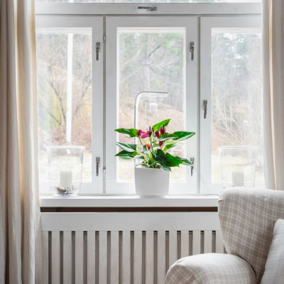 Tregren smart garden T3 | Baltas