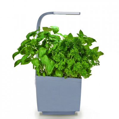 Tregren smart garden T3 | Pilkas
