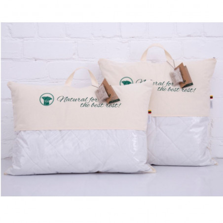 Pillow set with Linen