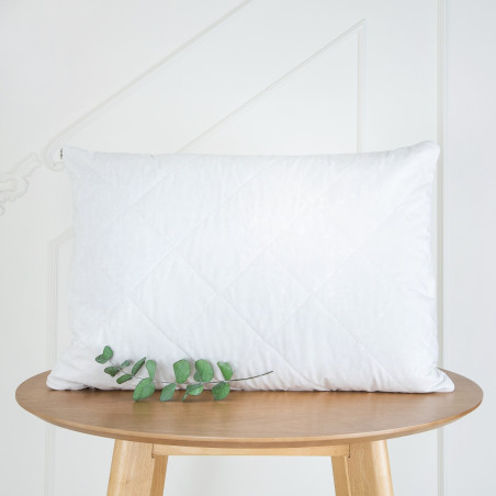 Pillow set with Linen