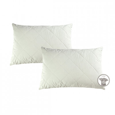 Pillow set with Linen