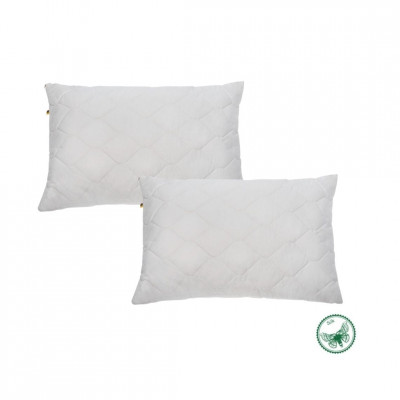 Pillow with Silk | Home textiles