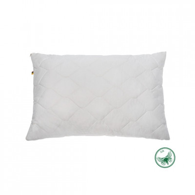 Pillow with Silk | Home textiles