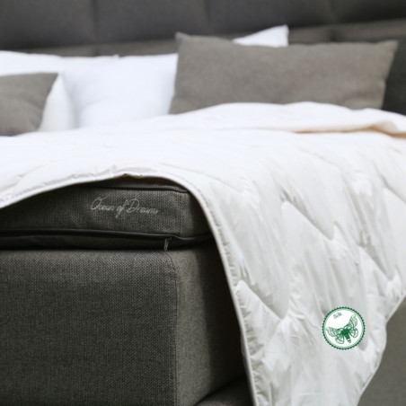 Blanket with Silk | Home textiles
