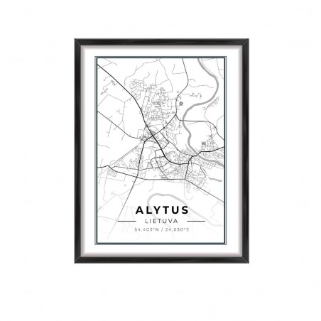City map Alytus