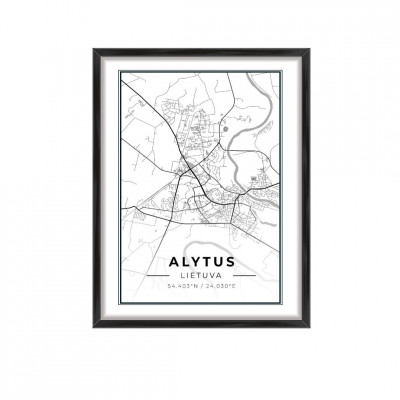 Карта города Алитус