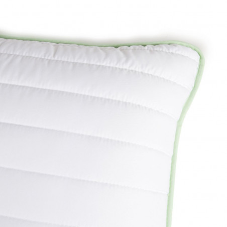 Aloe vera pillow