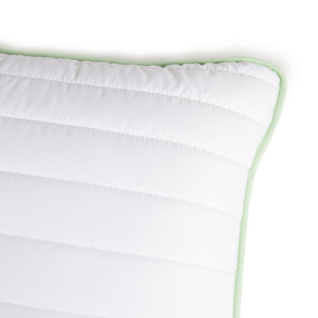 Aloe vera pillow