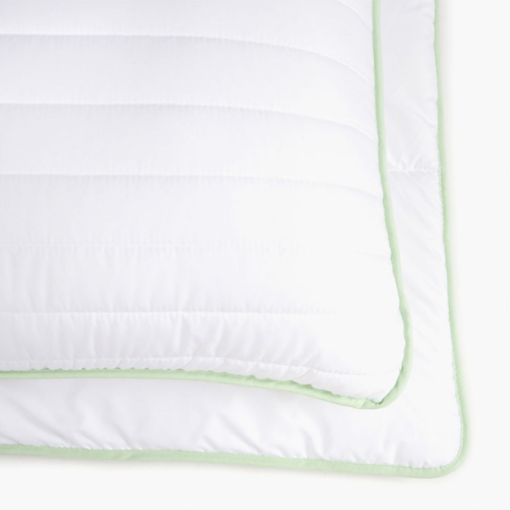 Aloe vera pillow