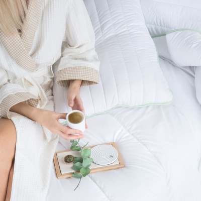 Aloe vera pillow