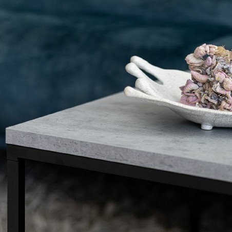Coffee table Forest | Concrete