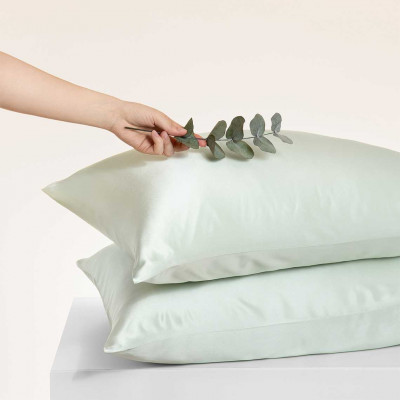 Silk pillowcases 2pcs + Gift | Greenish