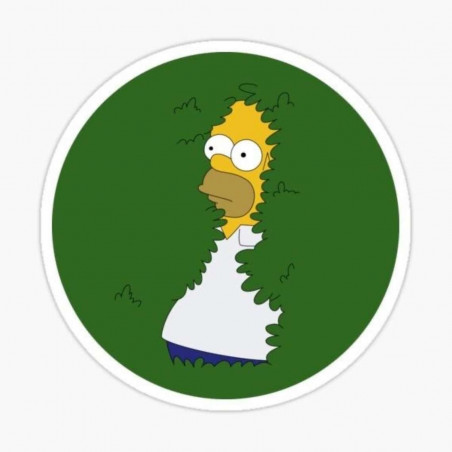 Paklājs Homer Simpson