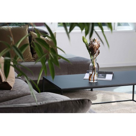FOREST coffee table | Fenix NTM