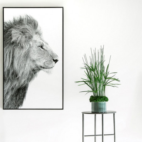Painting of Lion
