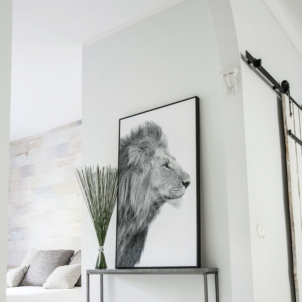 Bilde Lion | atteli | NMF Home