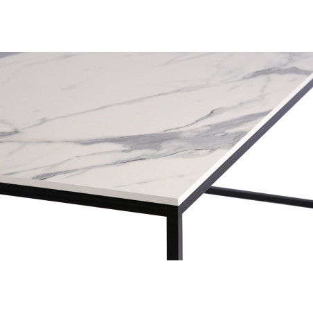 Большой журнальный столик FOREST Marble